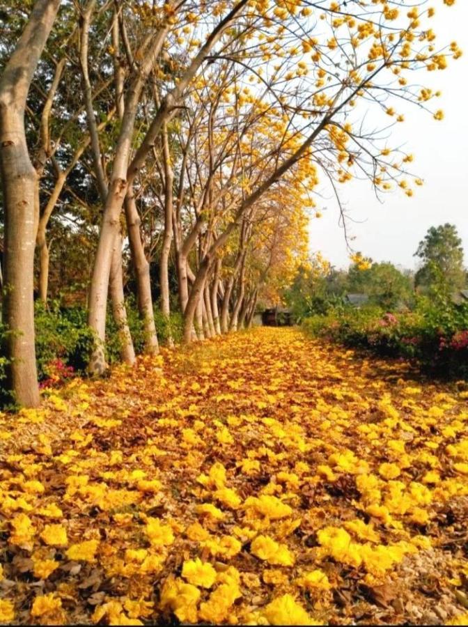 Denchai City Resort เด่นชัยซิตี้ รีสอร์ท Phrae Ngoại thất bức ảnh