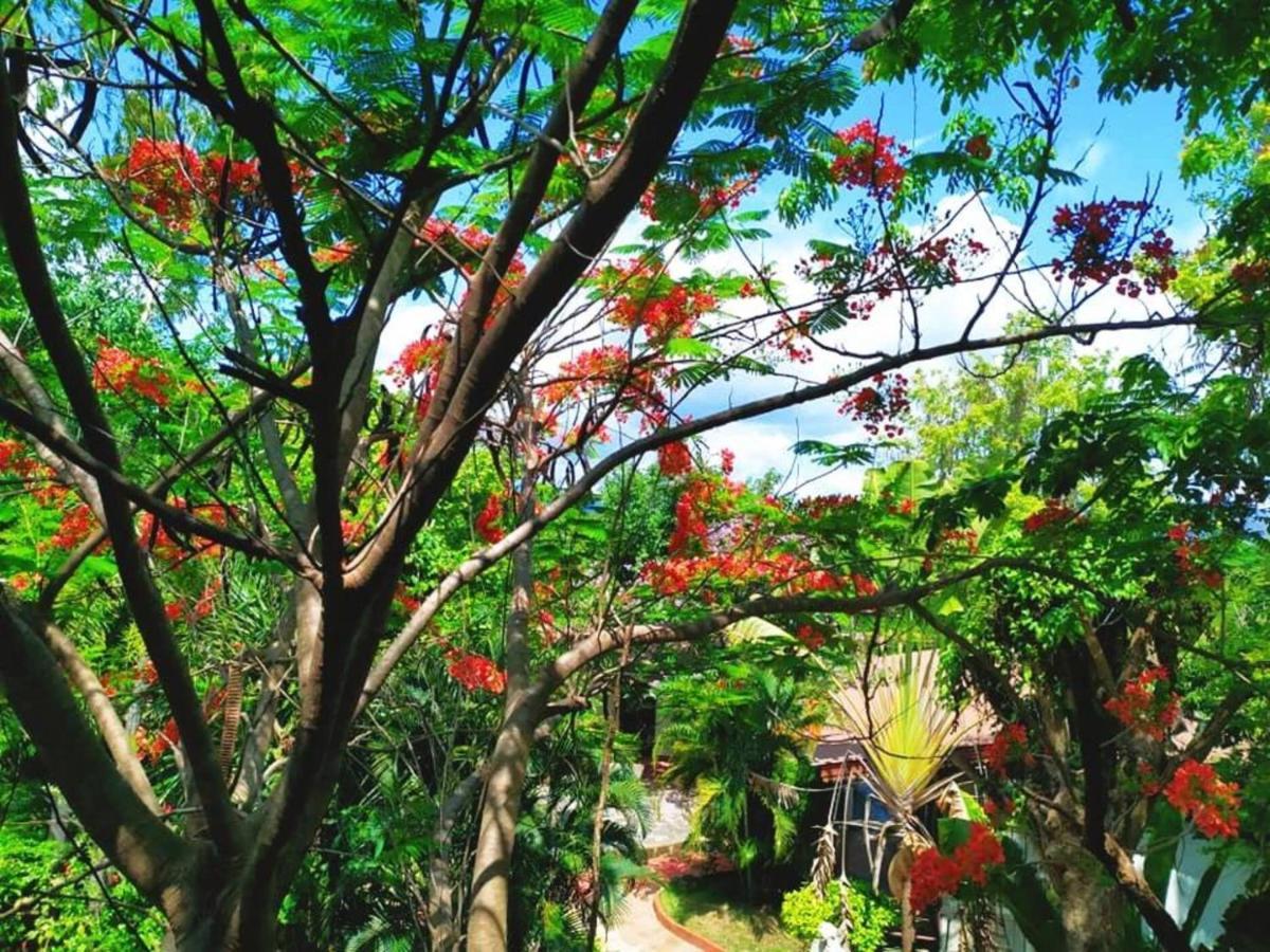 Denchai City Resort เด่นชัยซิตี้ รีสอร์ท Phrae Ngoại thất bức ảnh